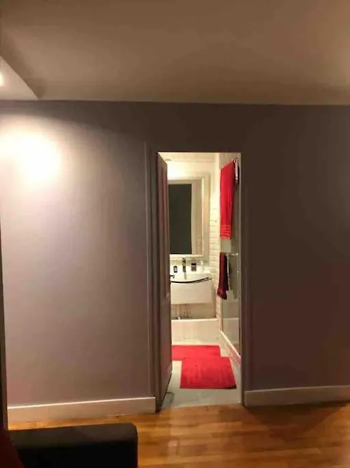 One Room Apartment In Paris Montmartre